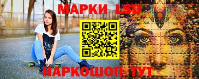 гидропоника Аша