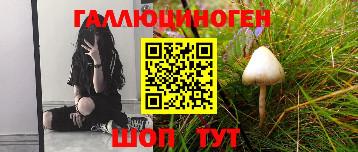 Галлюциногенные грибы прущие грибы  где найти   Аша  Псилоцибиновые грибы Cubensis  Вход с VPN 